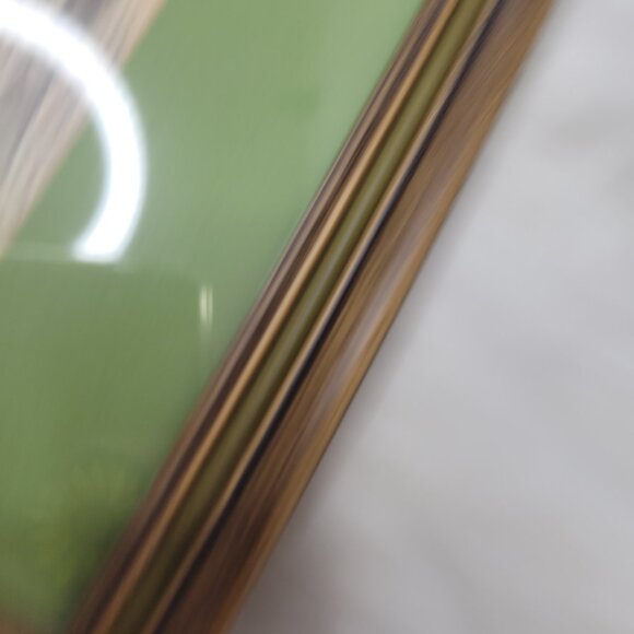 RARE Julia Homer Wilson Framed Lithograph St. Philip's Church Charleston S.C. - Picture 5 of 10